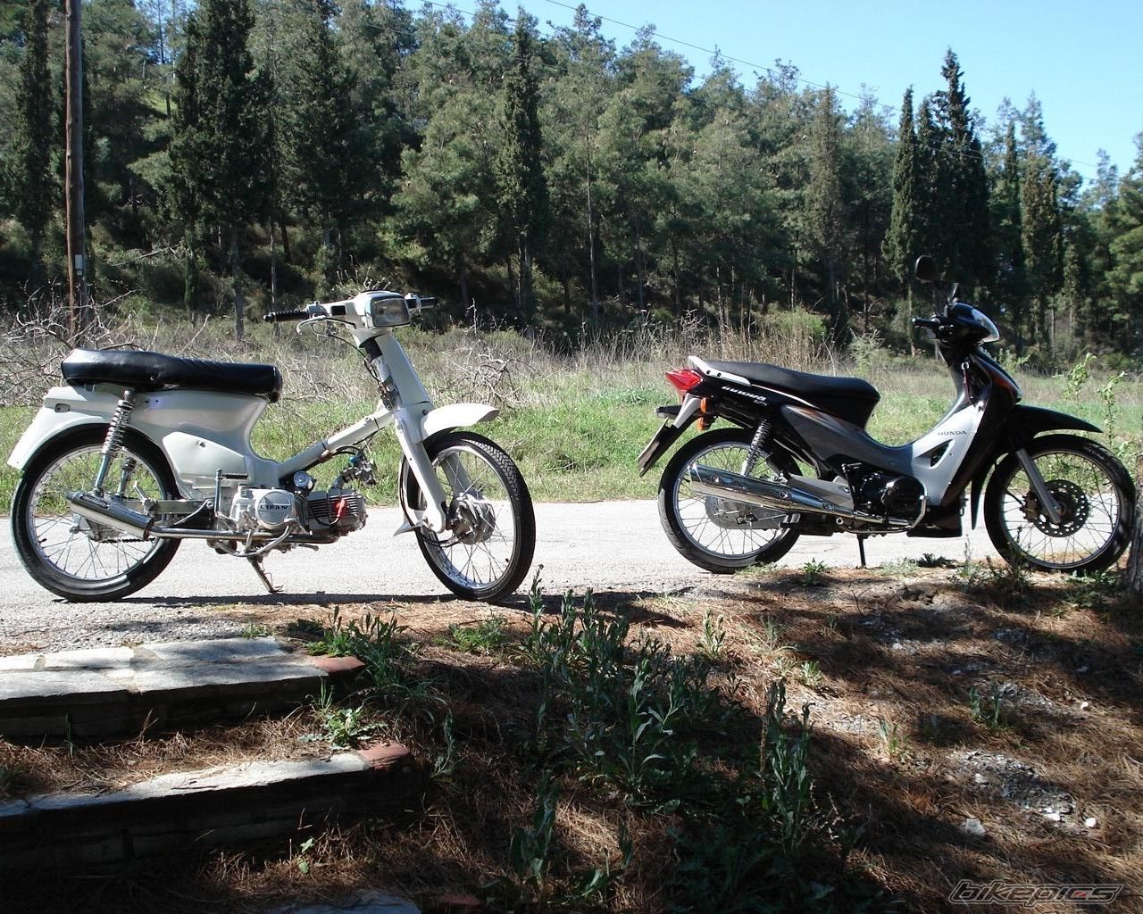 Photo 1227357