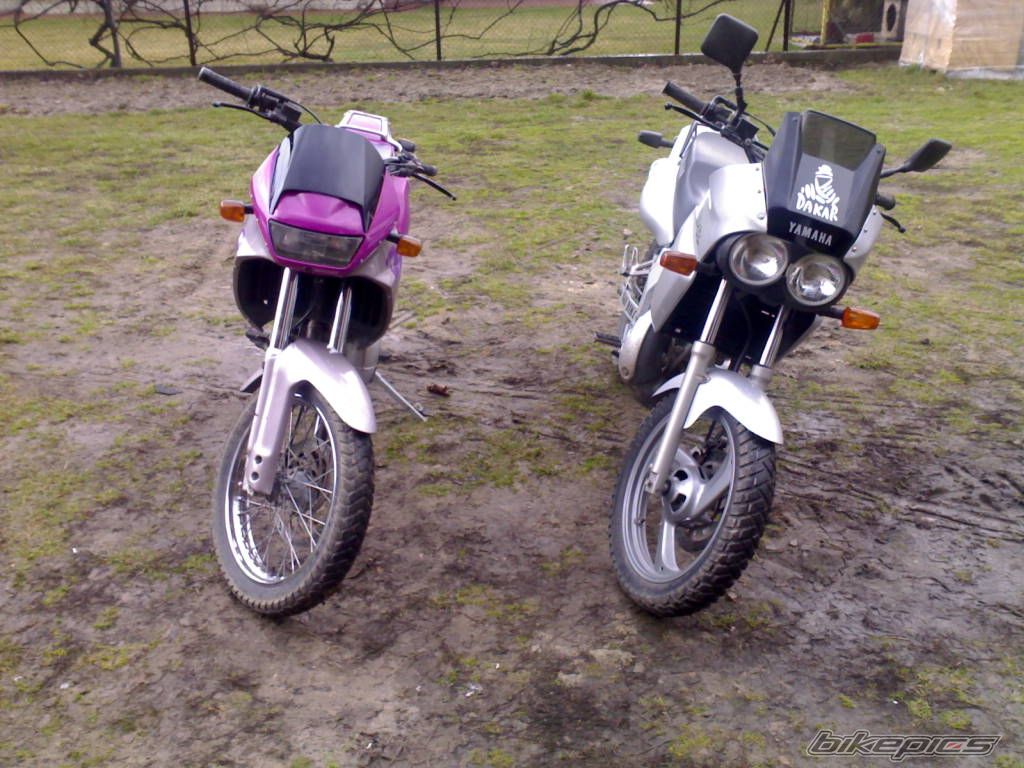 Photo 1227363