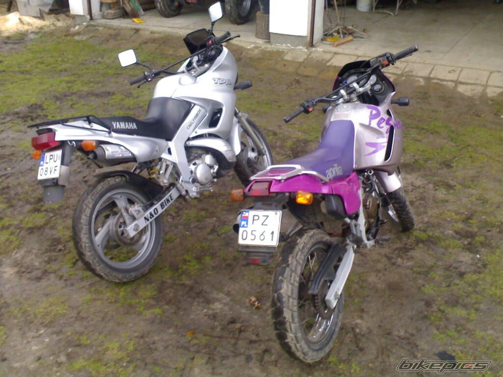 Photo 1227365