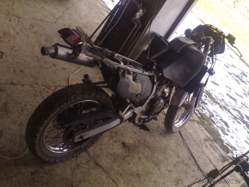 Photo 1227383