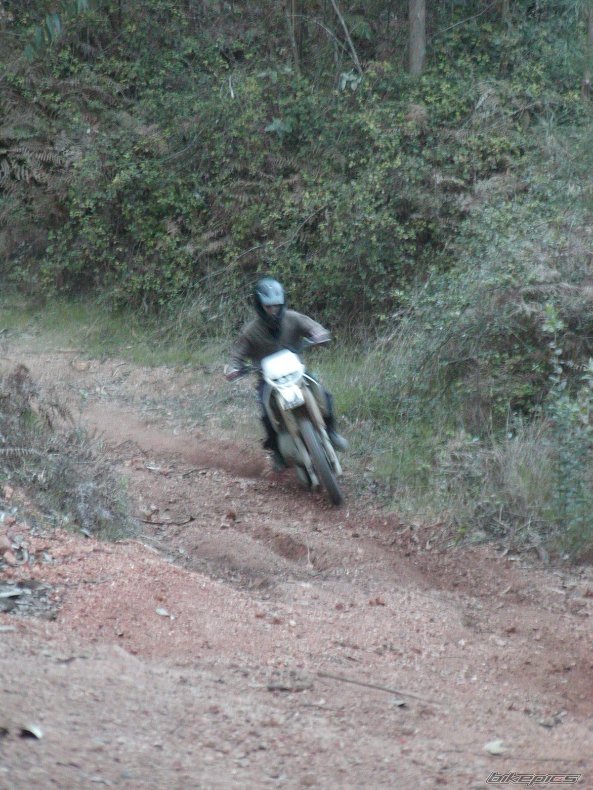 Photo 1227391