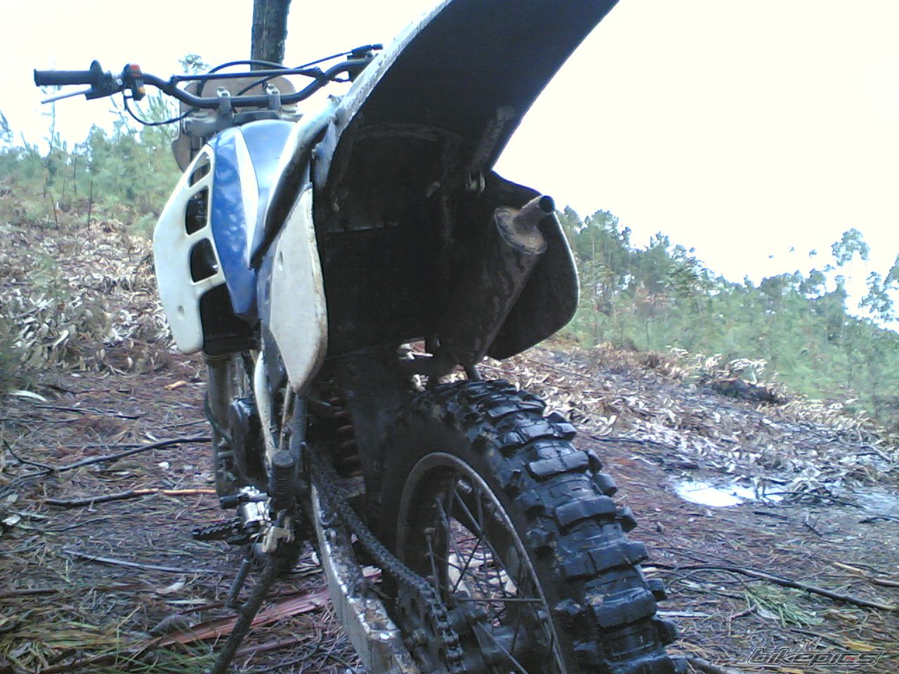 Photo 1227413