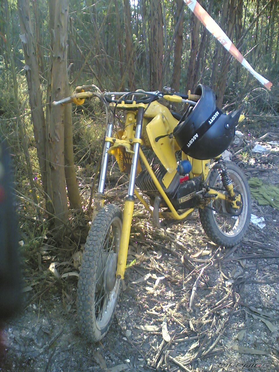 Photo 1227428