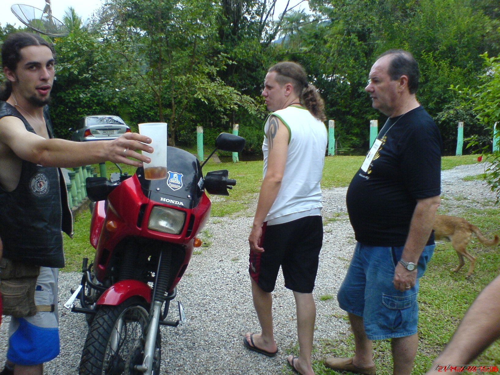 Bike Photo 1227490