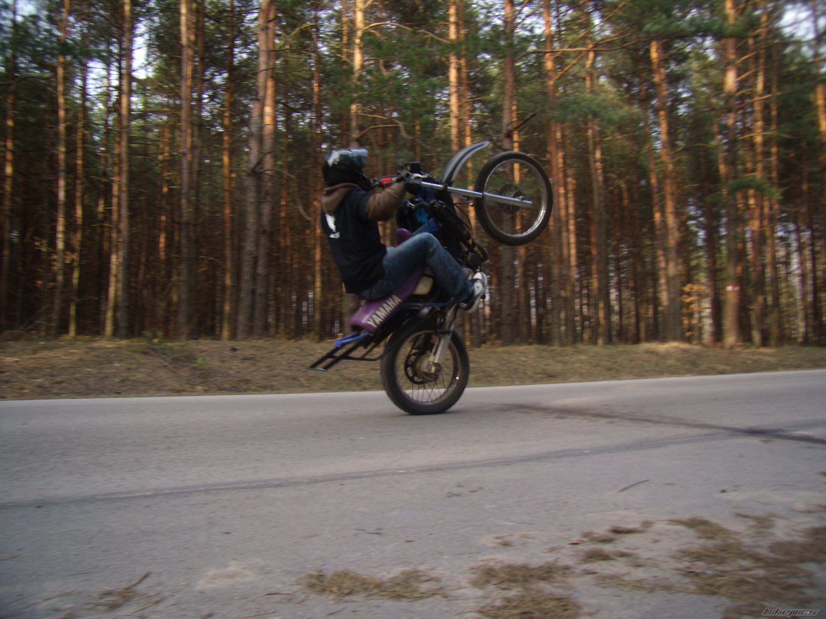 Photo 1227495
