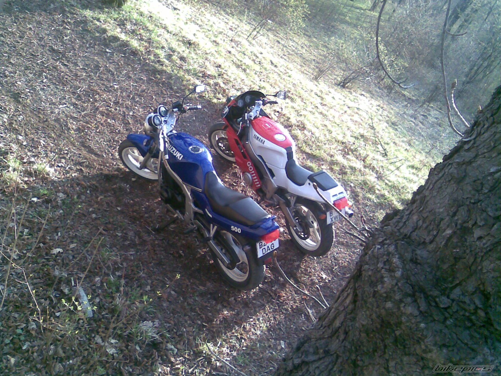 Bike Photo 1227501
