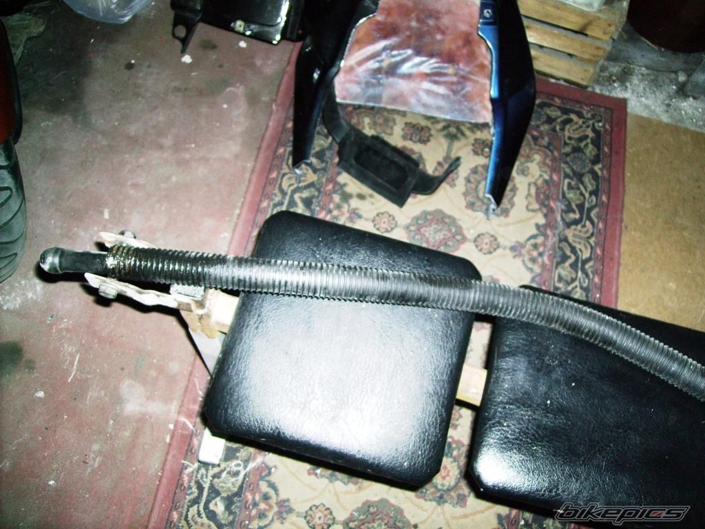 Photo 1227589