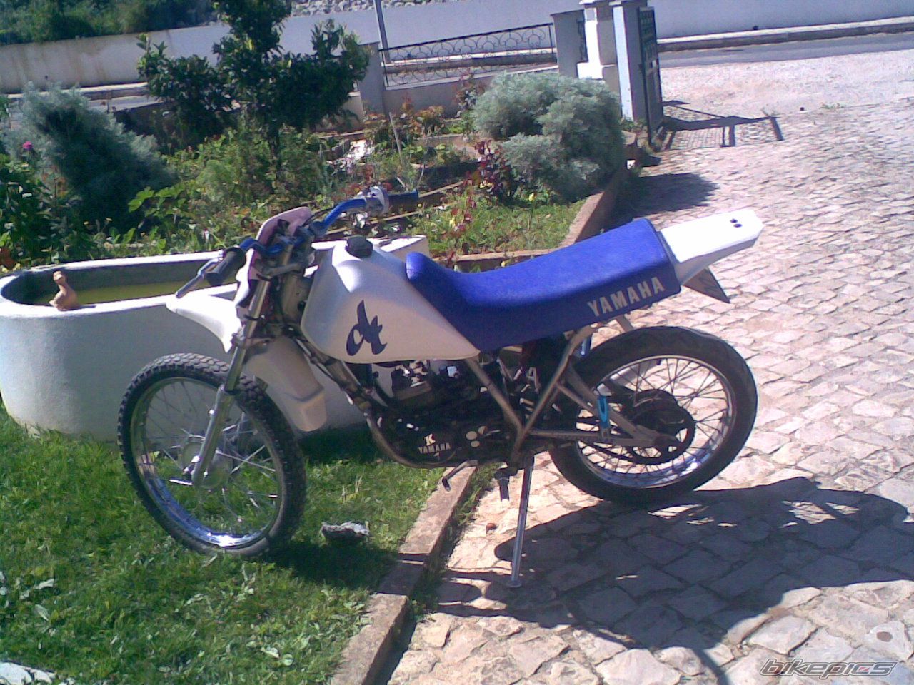 Photo 1227649