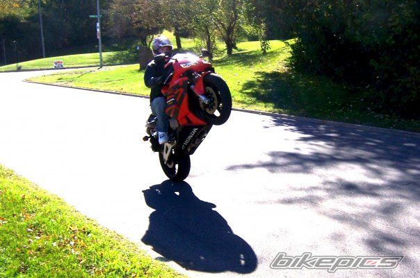 Photo 1227691