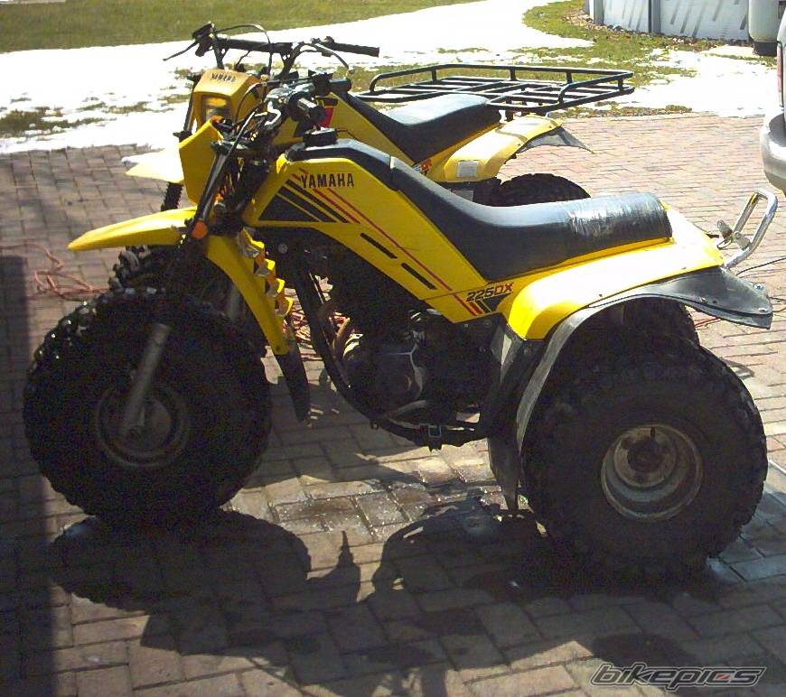 Photo 122772