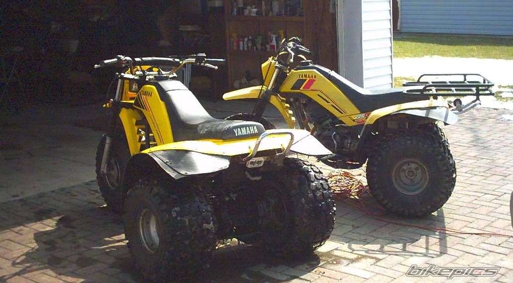 Photo 122775
