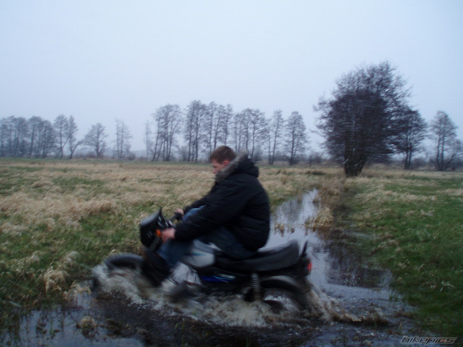 Photo 1227789