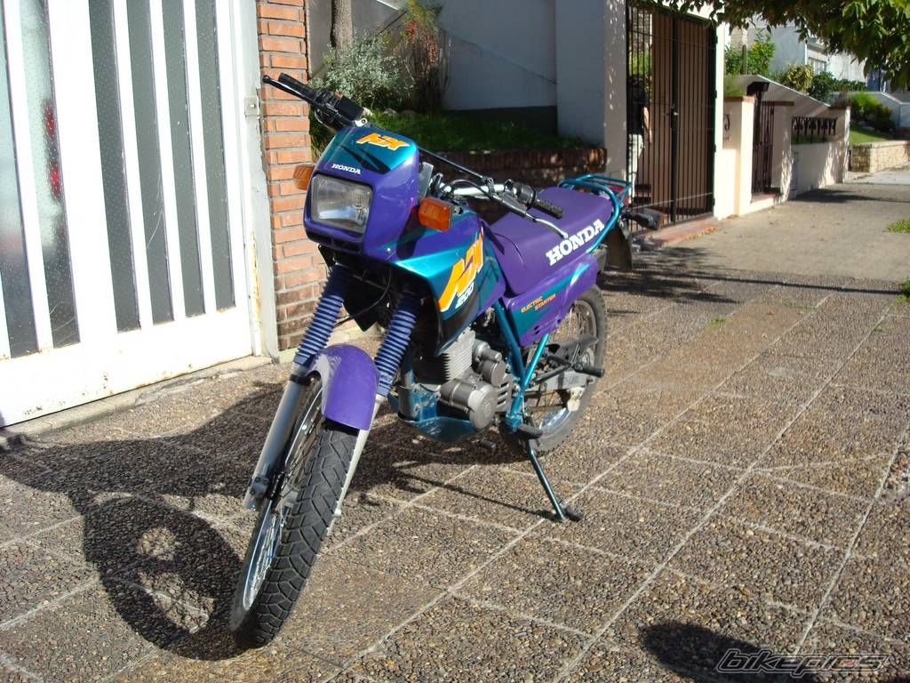 Photo 1227798