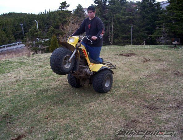 Photo 1227824