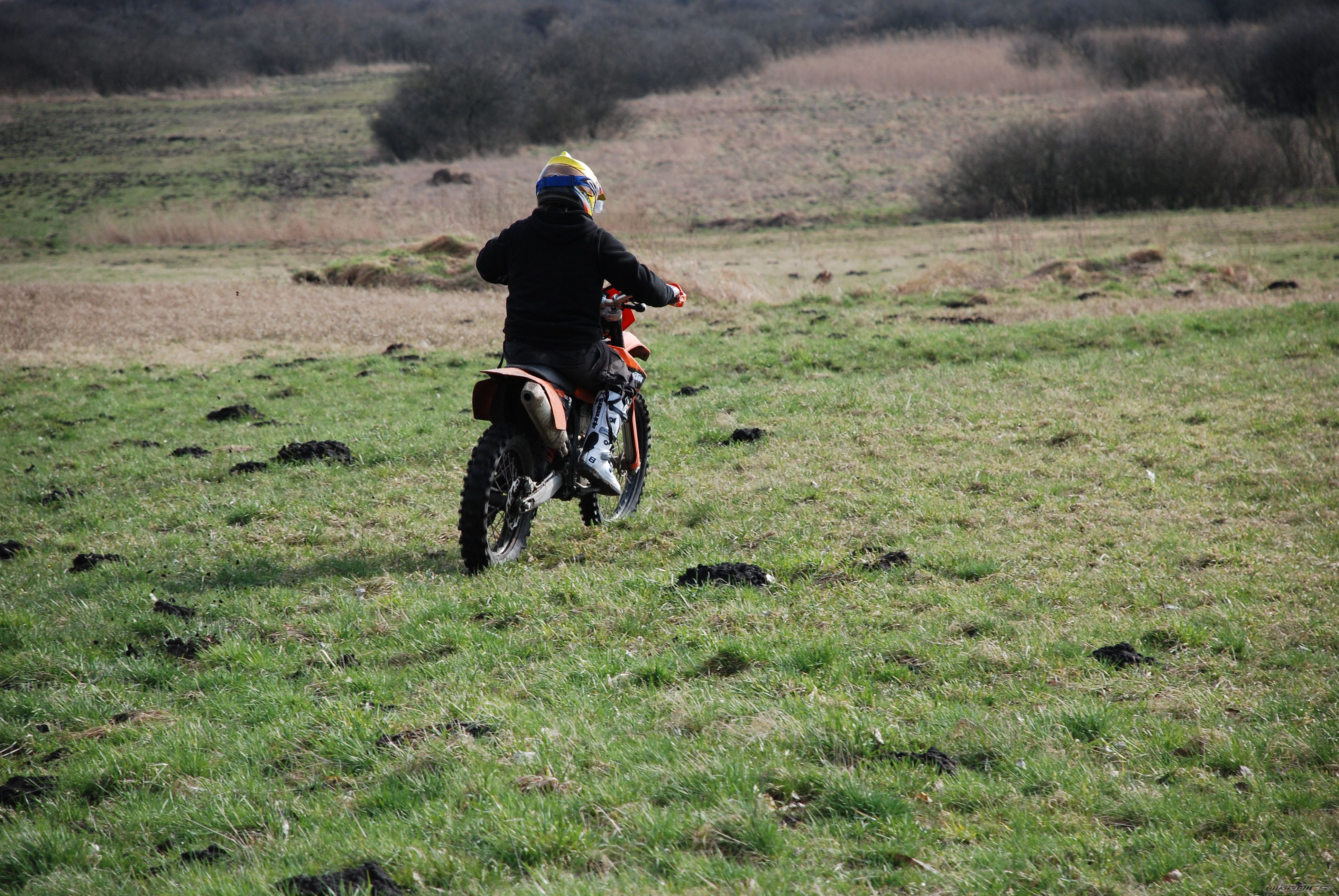 Photo 1227904