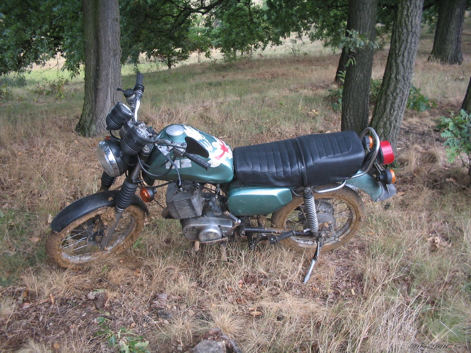 Photo 1227985