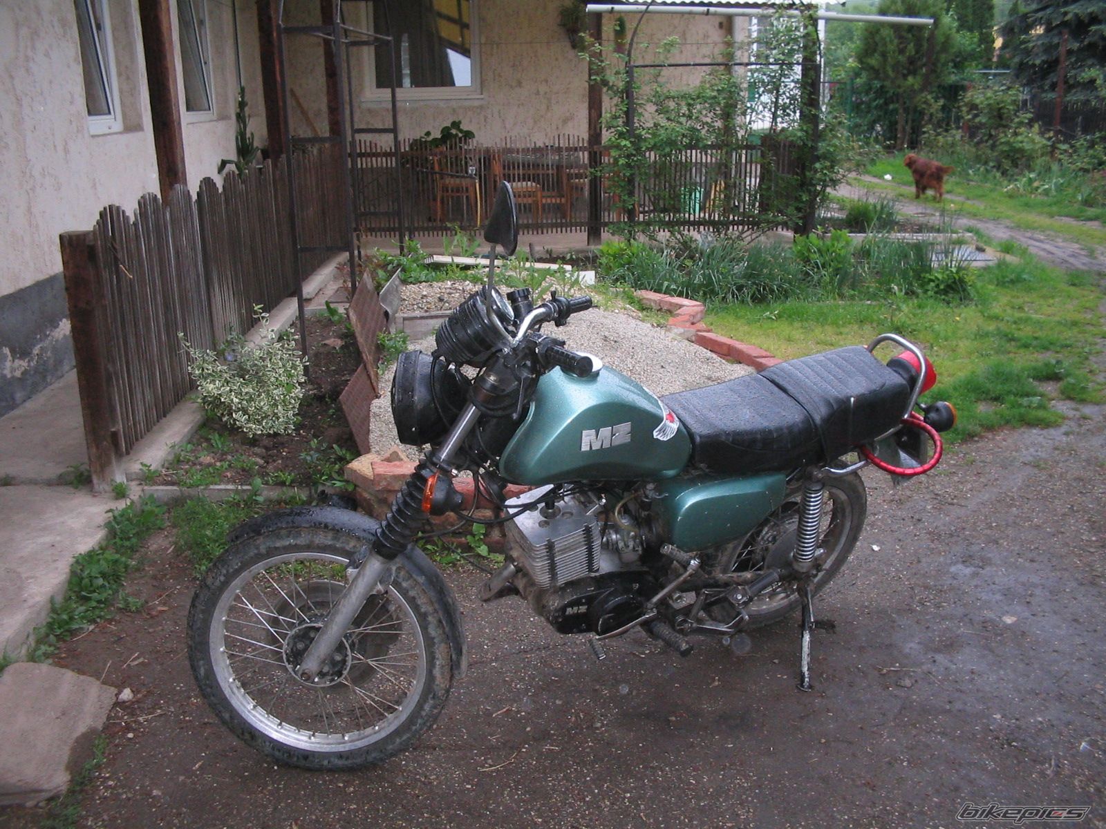 Photo 1227990