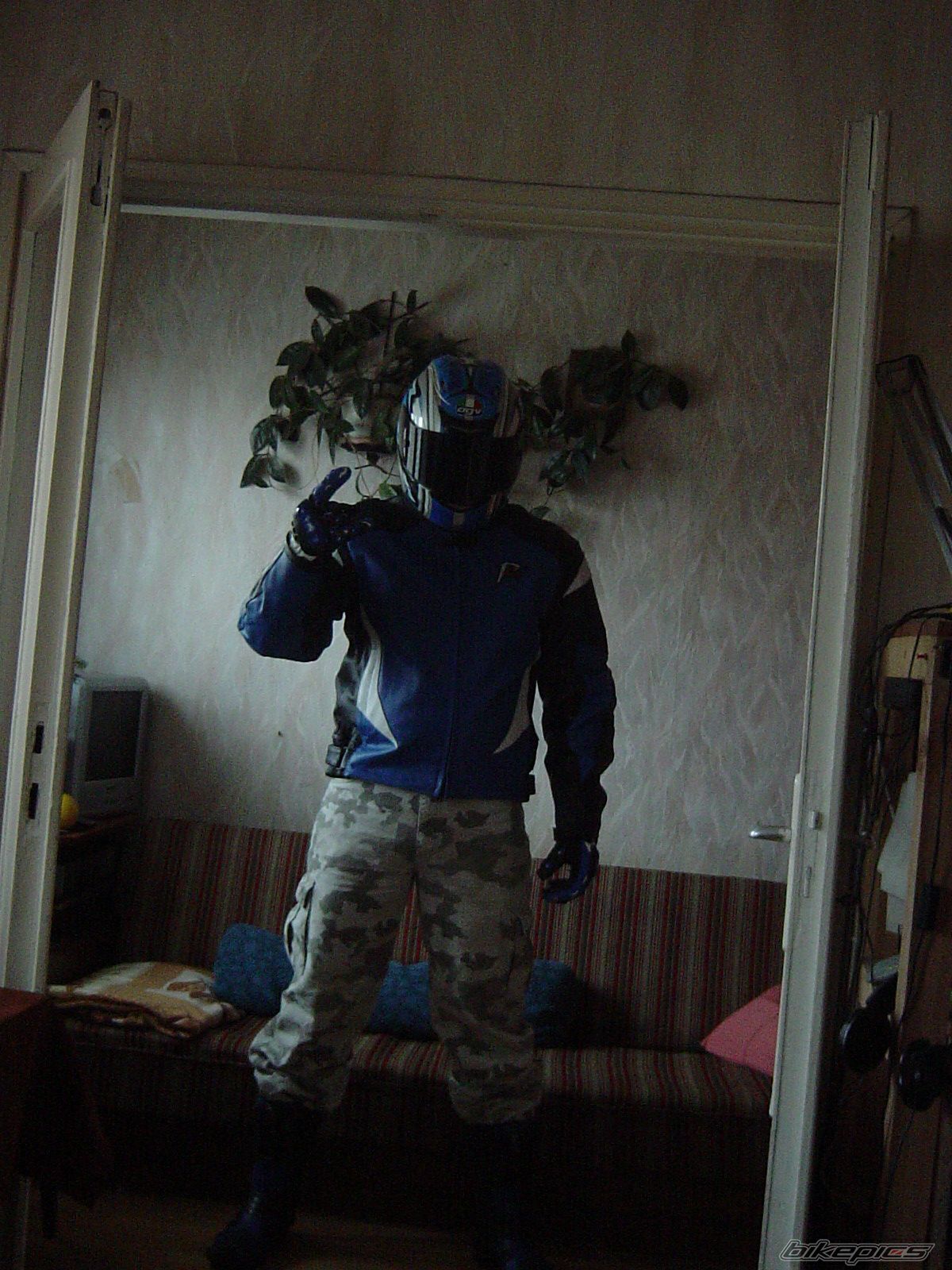 Photo 1228010