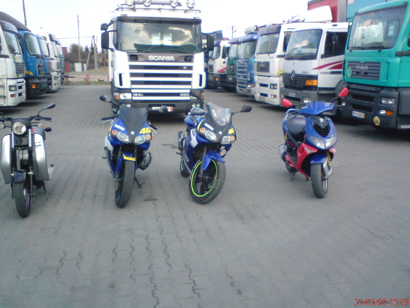 Photo 1228011