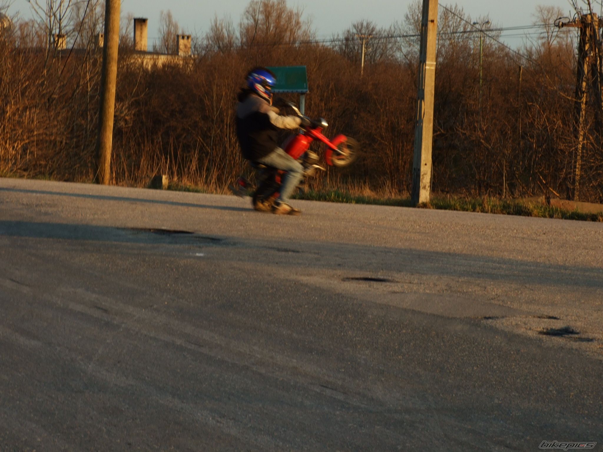 Photo 1228032