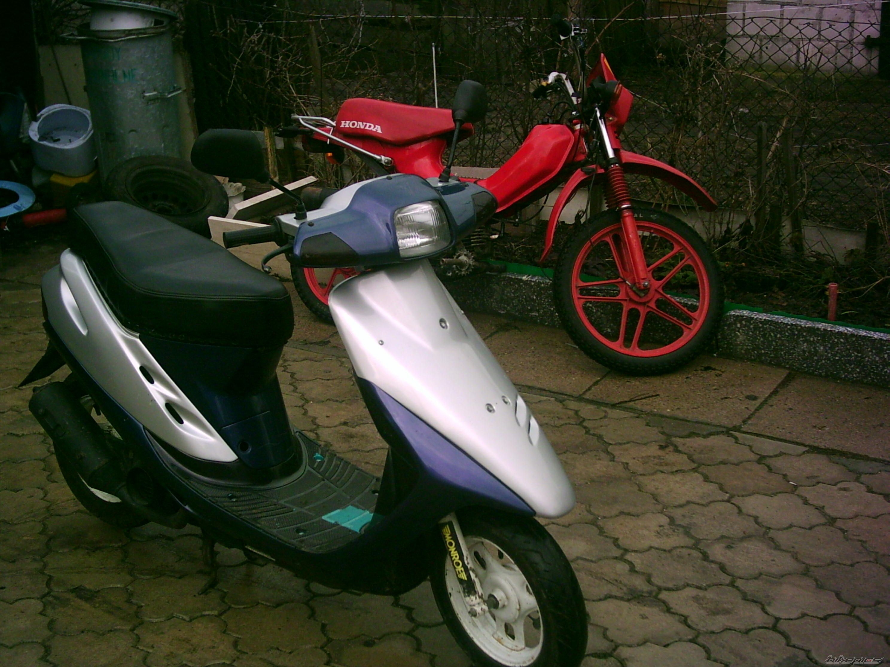 Photo 1228056