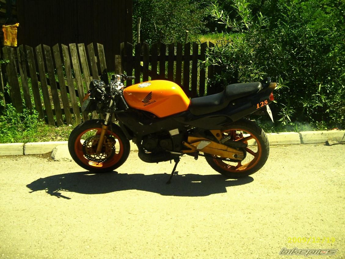 Photo 1228061