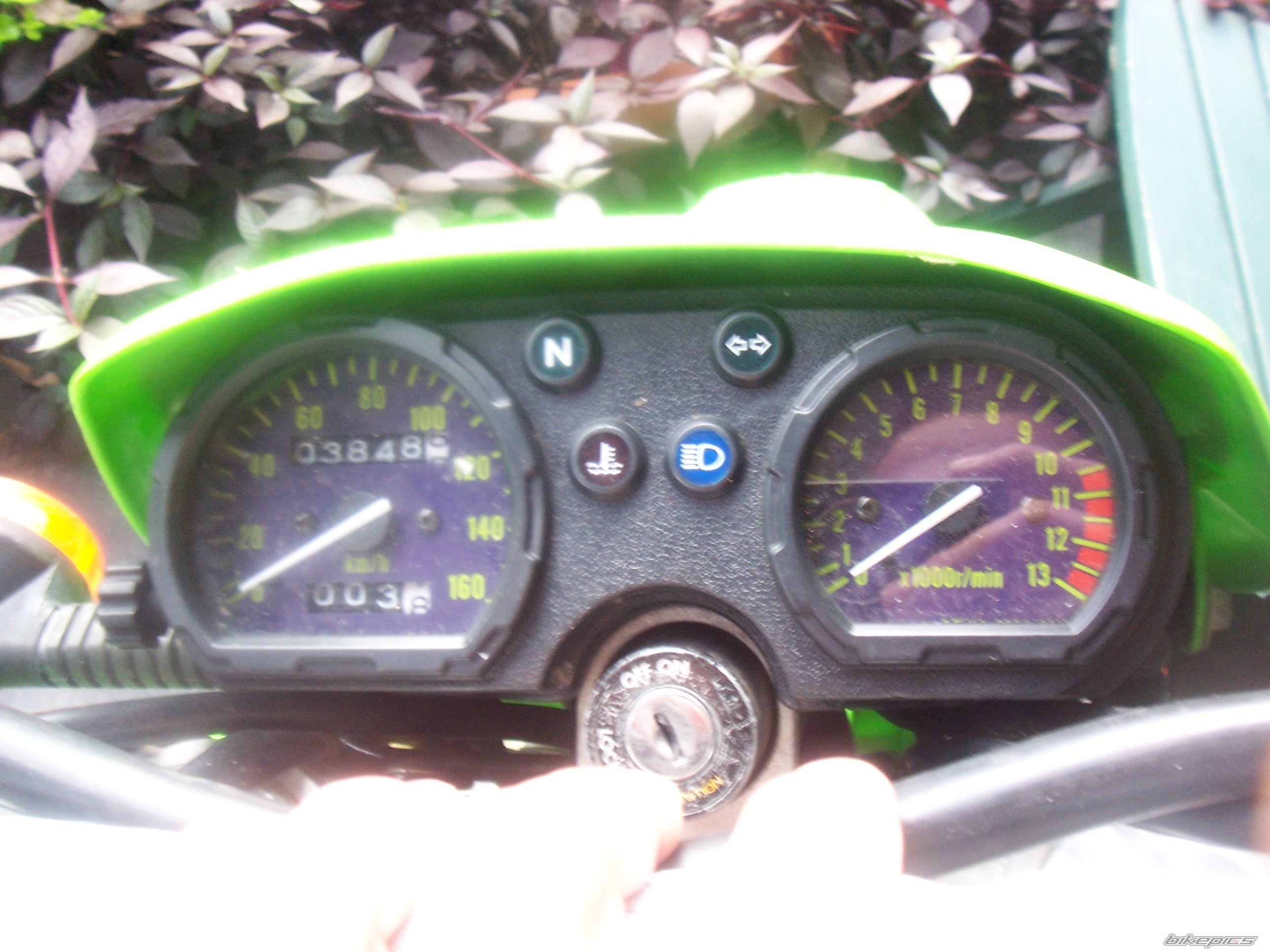 Photo 1228087