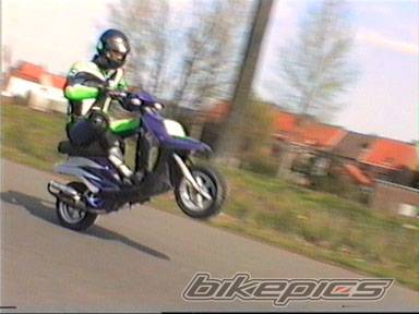 Photo 12281