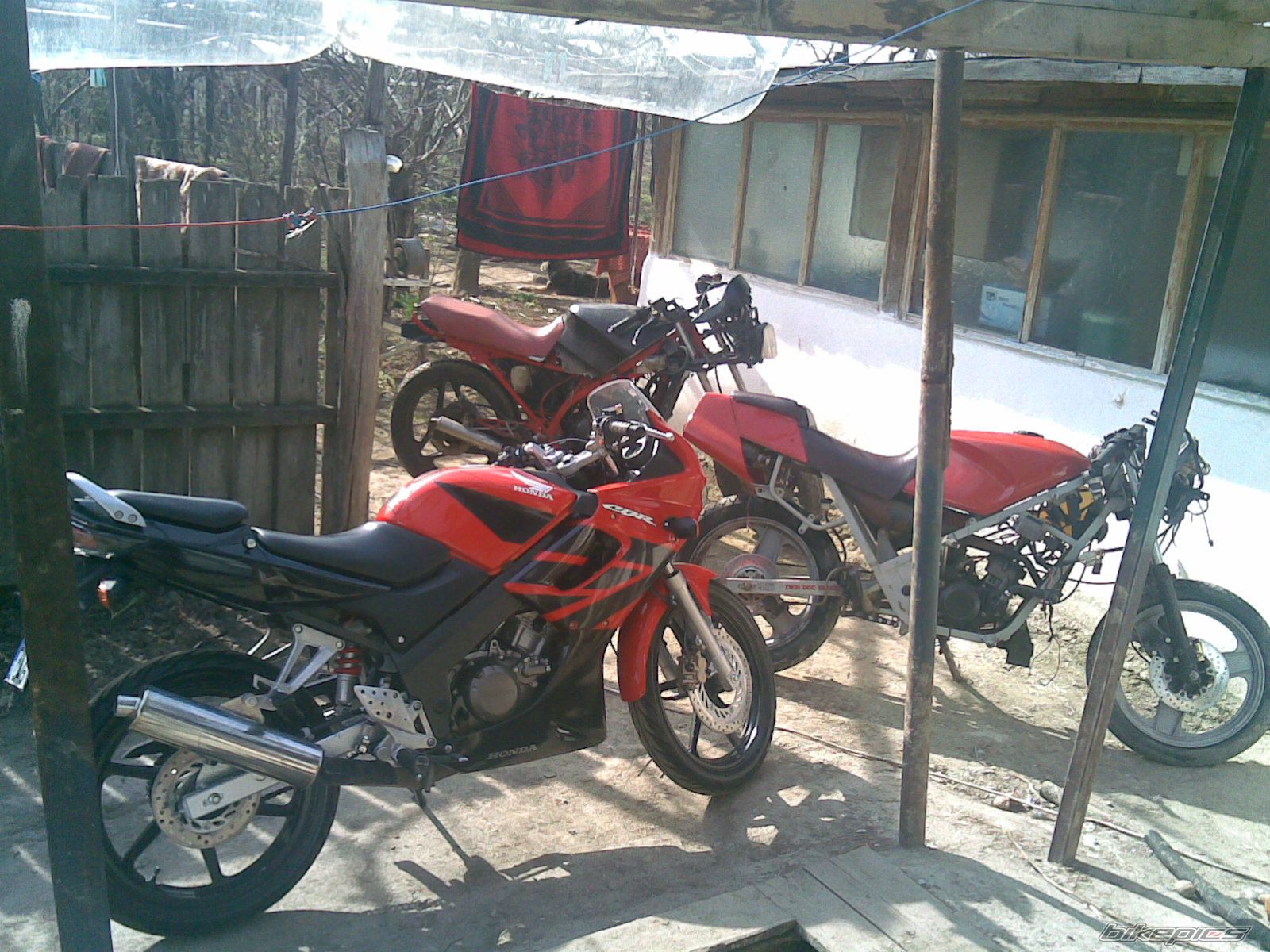 Photo 1228119