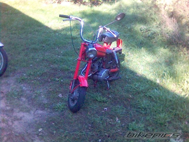 Photo 1228178