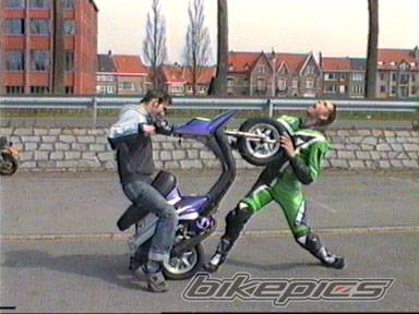 Photo 12282
