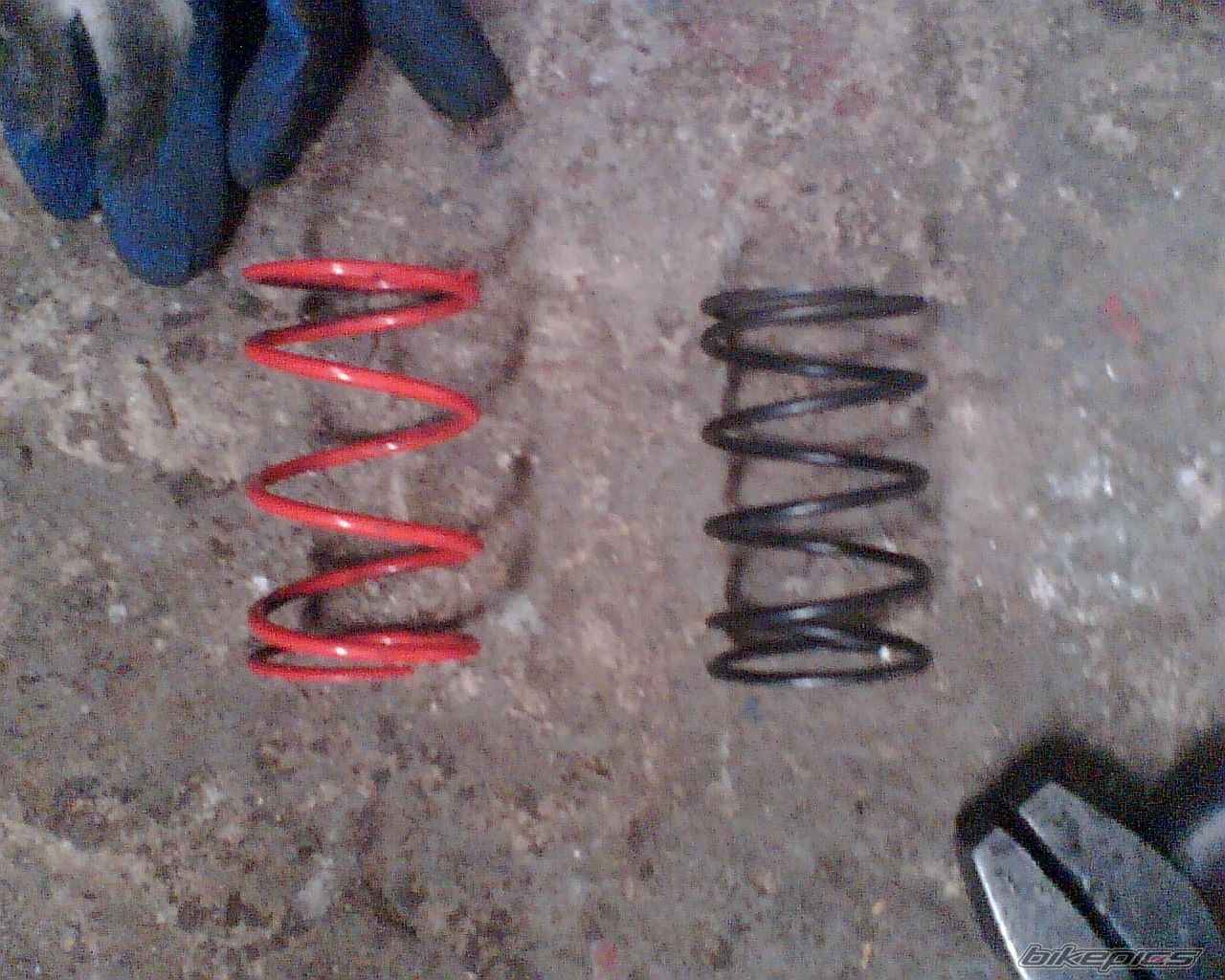 Photo 1228213