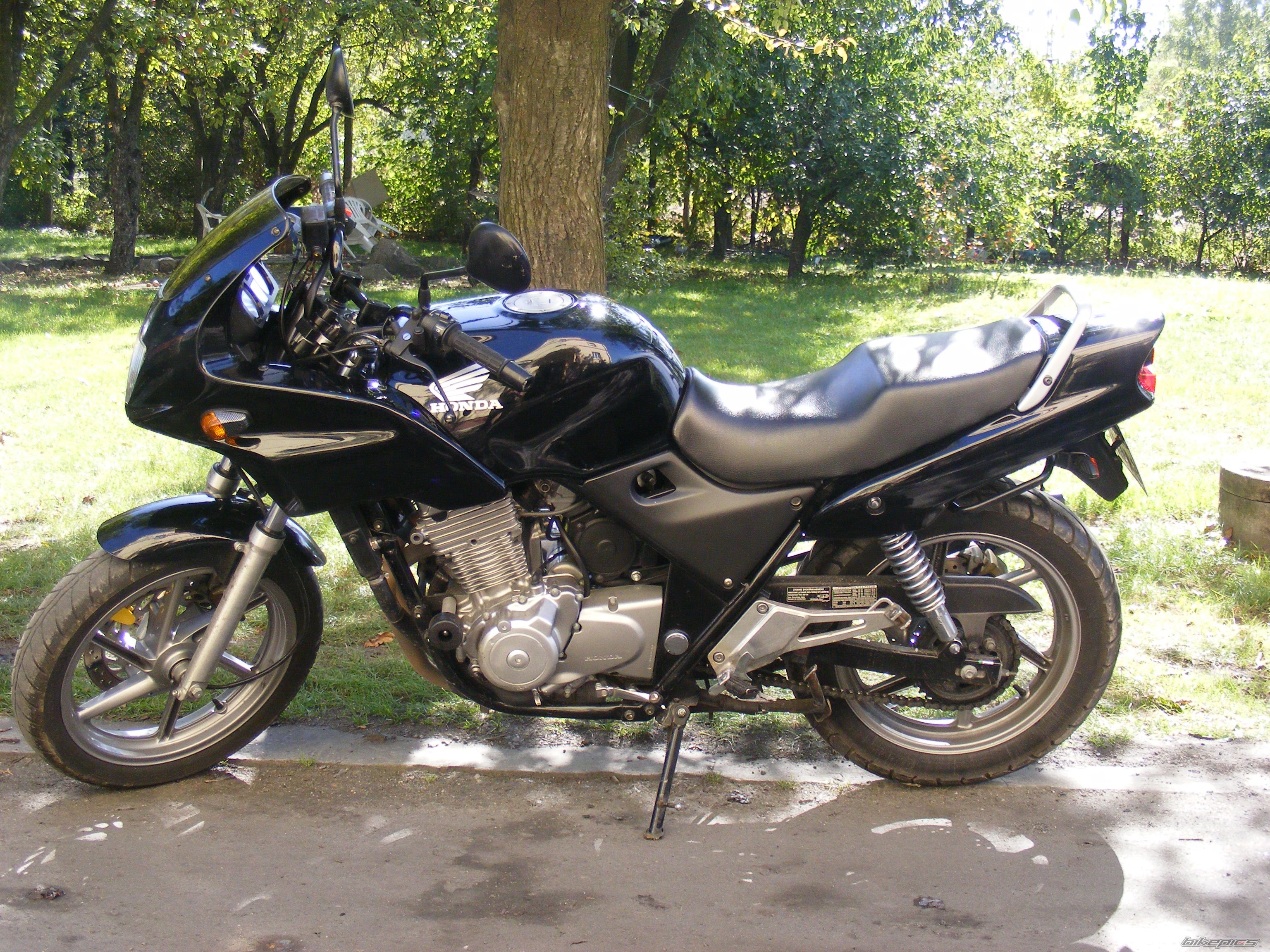 Photo 1228224
