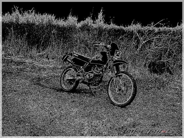 Photo 1228255
