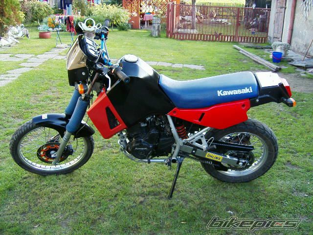 Photo 1228279
