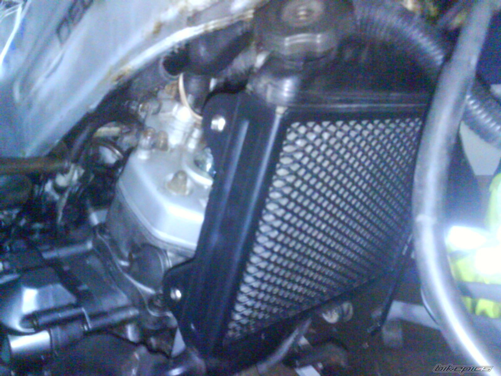 Photo 1228371