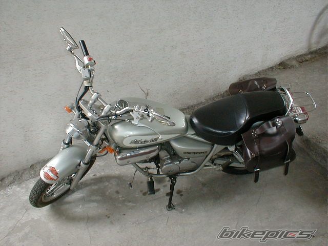 Photo 1228383