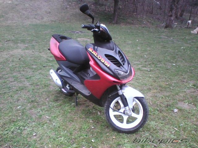 Photo 1228395