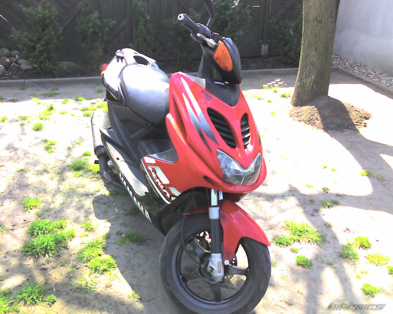 Photo 1228402