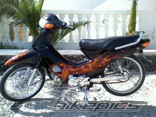 Photo 1228411