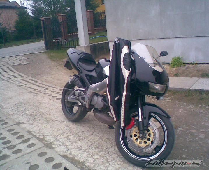 Photo 1228538