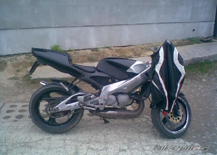 Photo 1228539