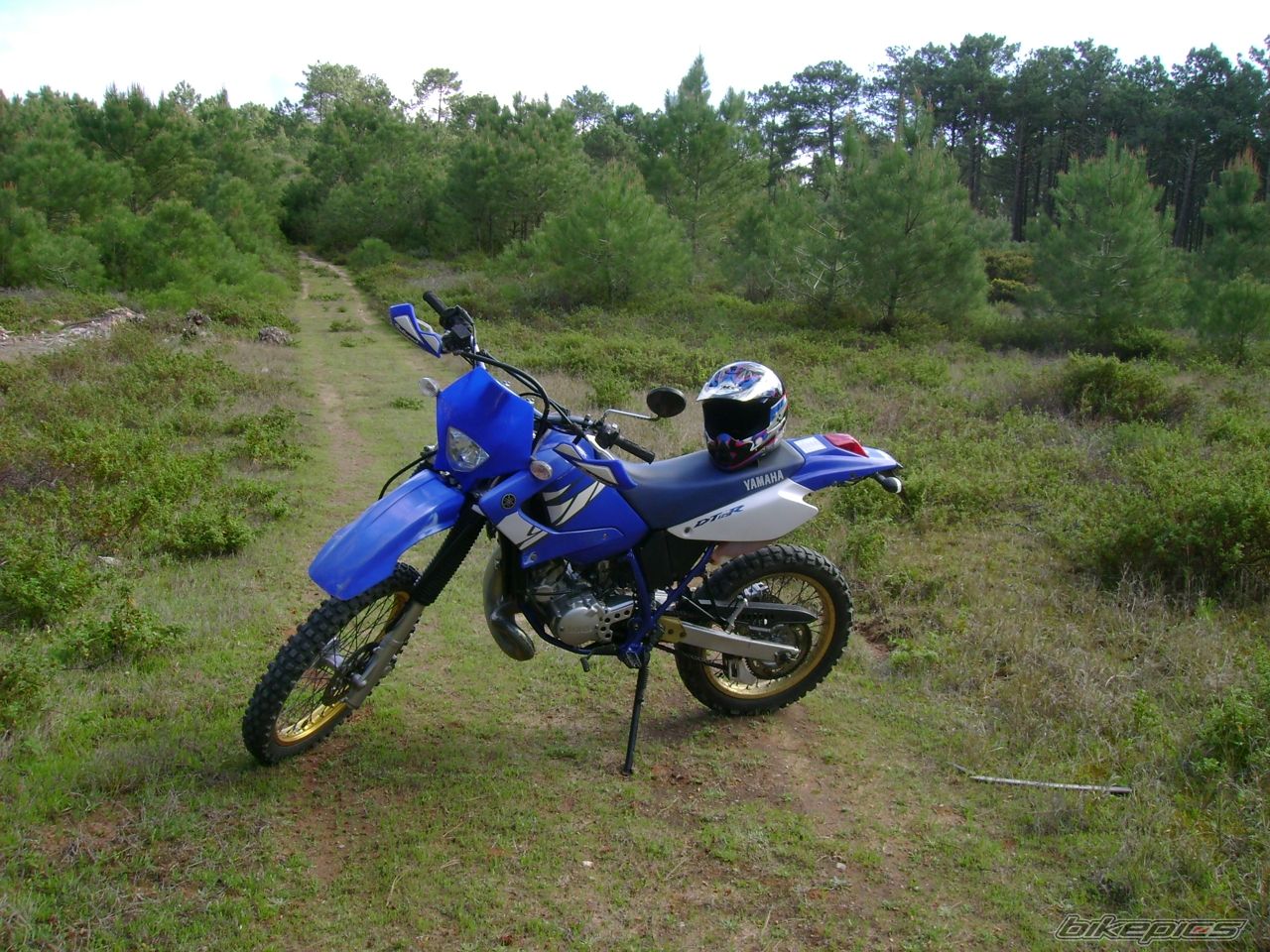 Photo 1228608