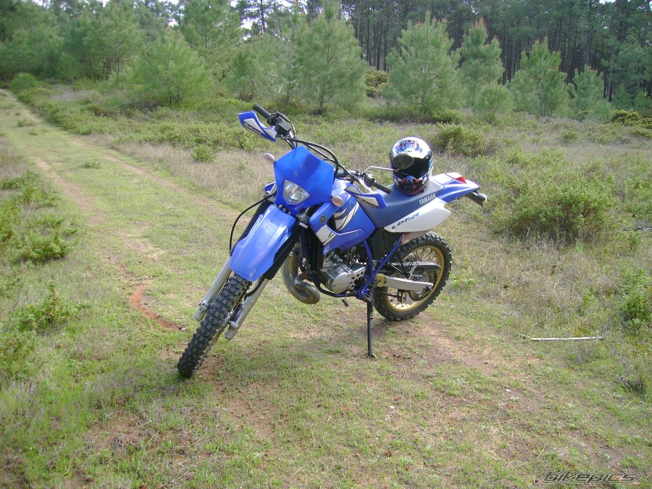 Photo 1228615