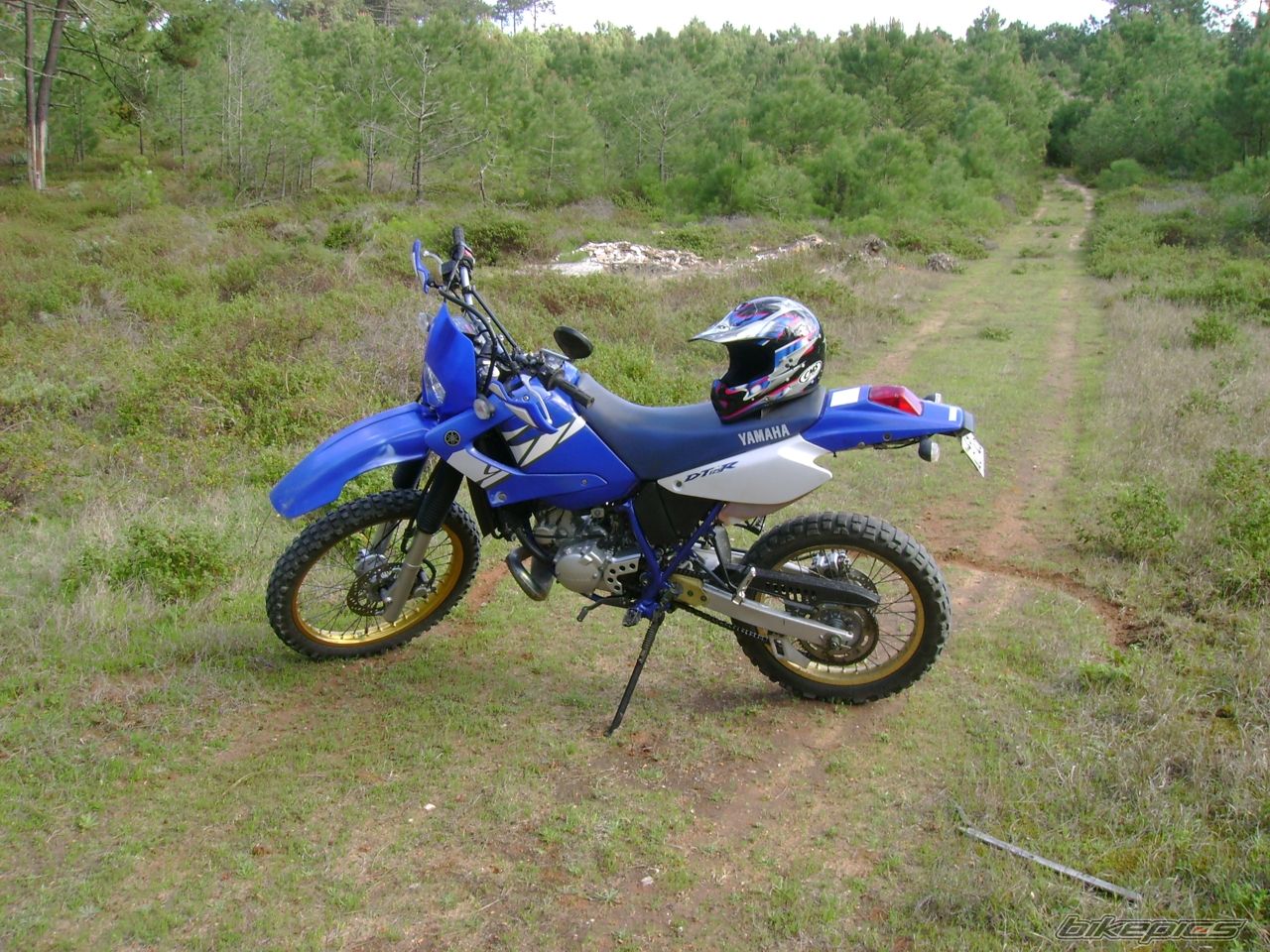 Photo 1228630