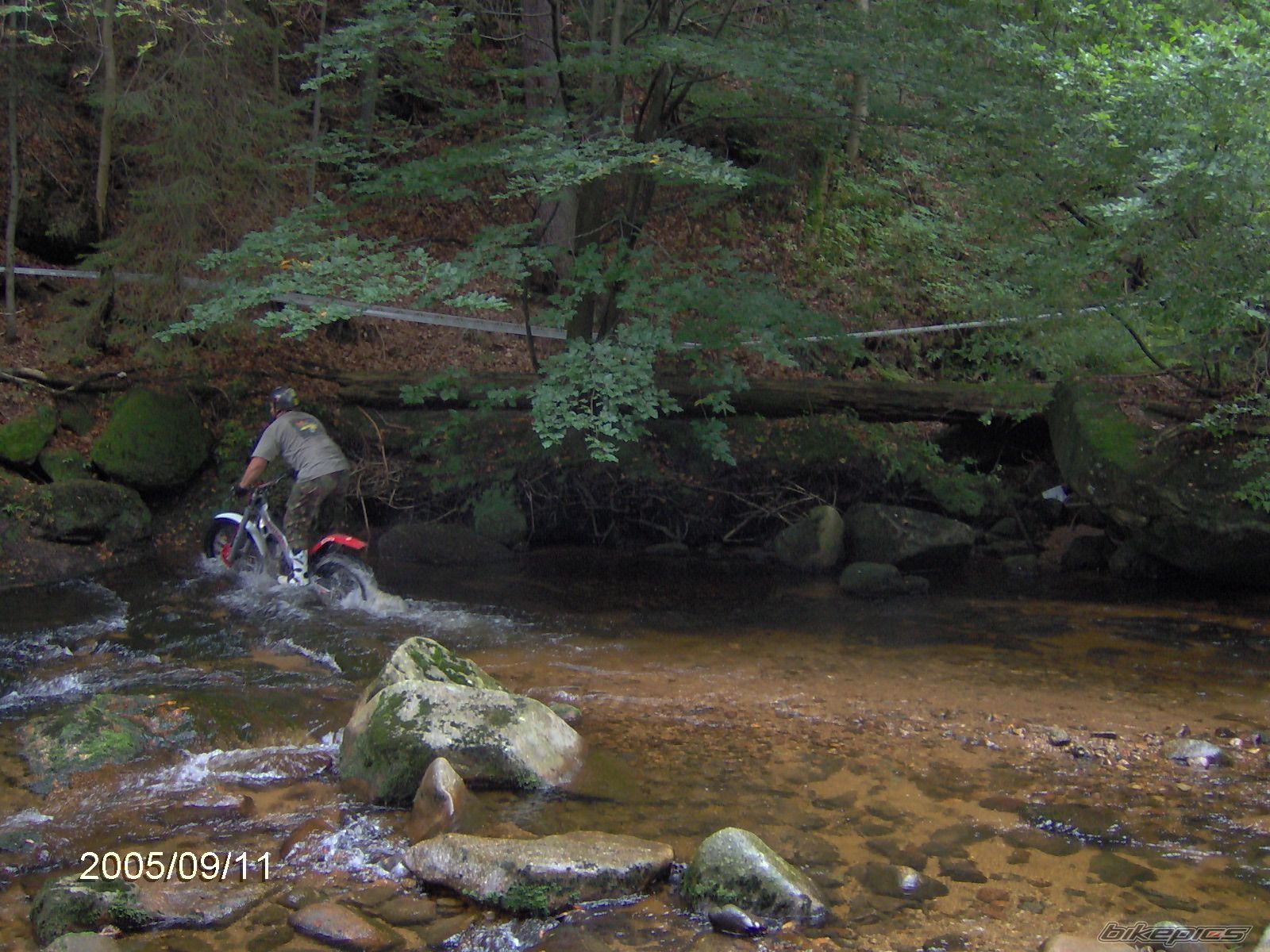 Photo 1228846