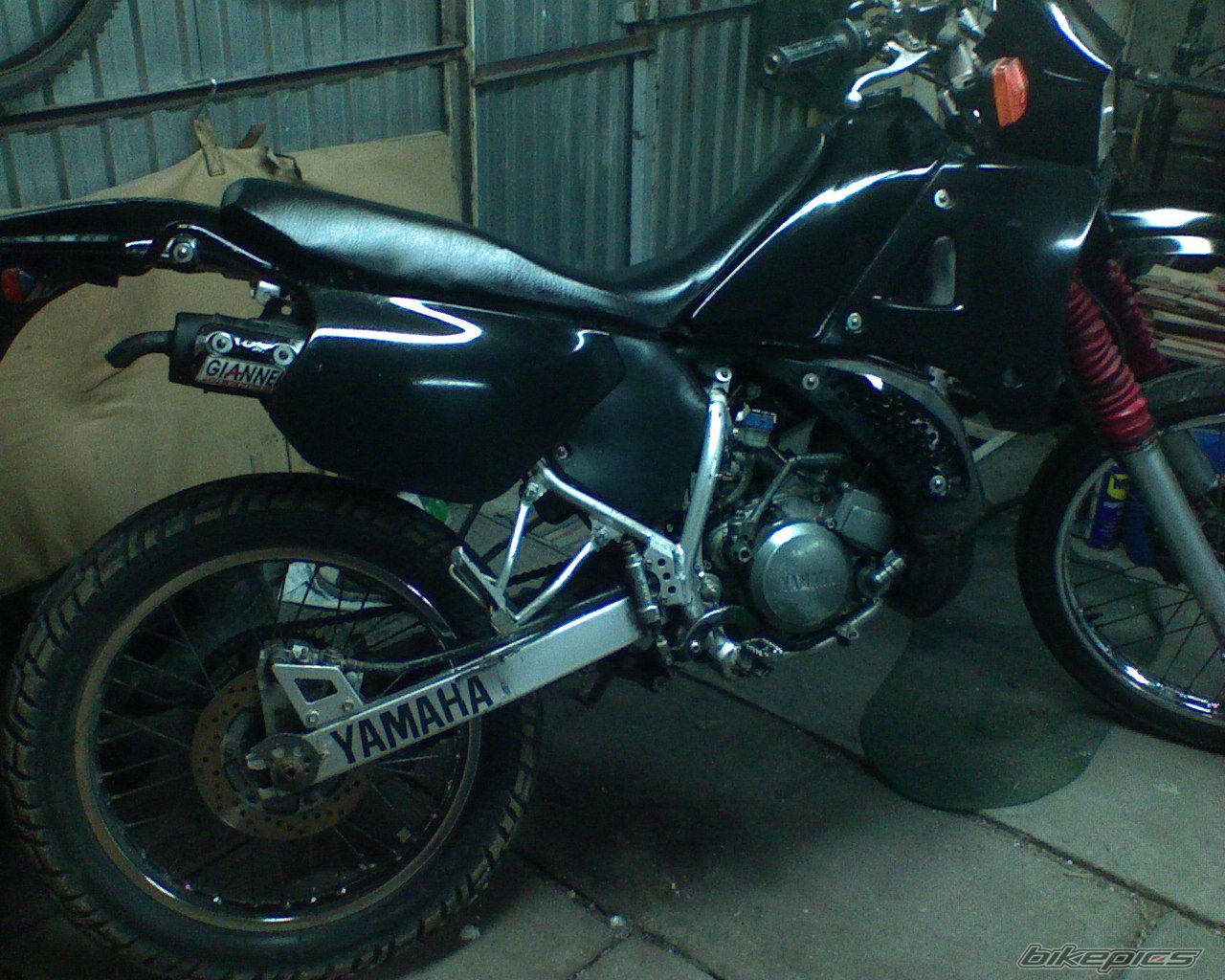 Photo 1229042