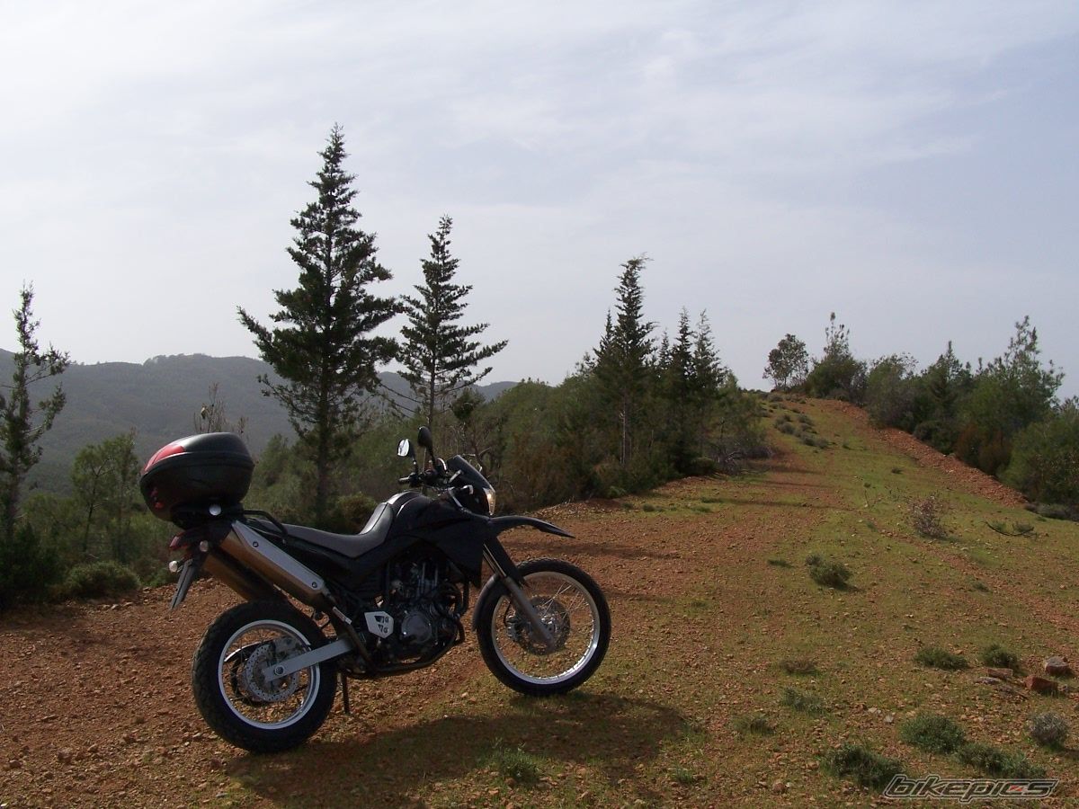 Photo 1229110