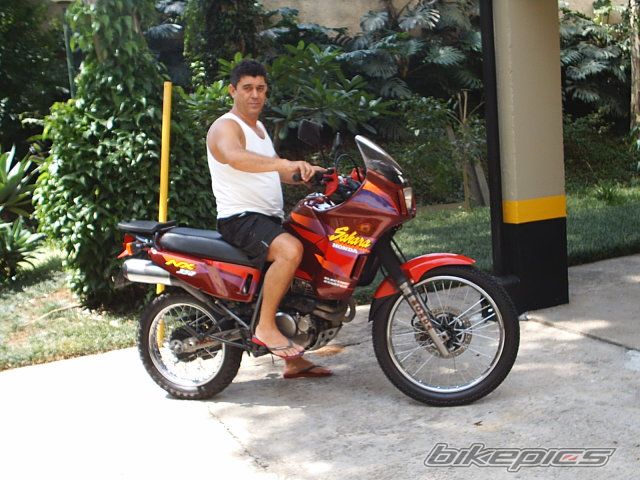 Photo 1229204