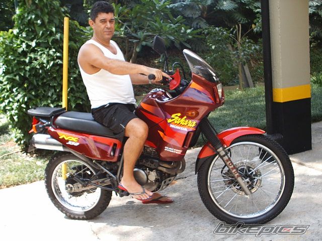 Photo 1229207